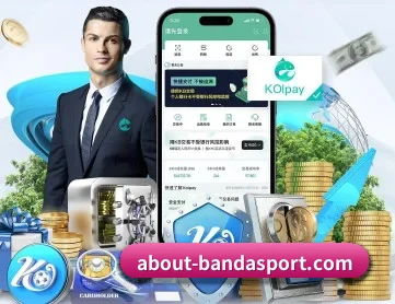 半岛综合 APP